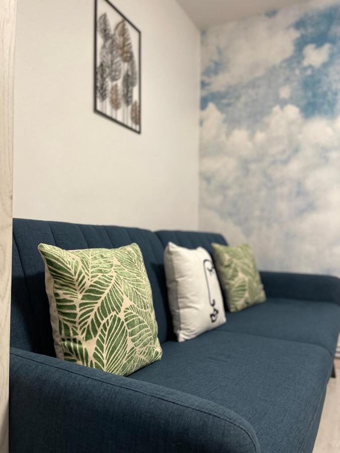 Garsoniera Sky Apartment Petrila Luaran gambar